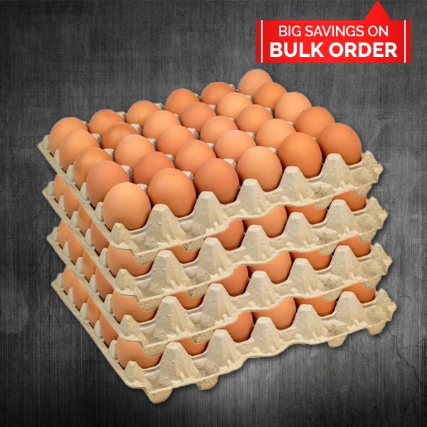 Jordan Egg Large 30x1x12 box - Image 2