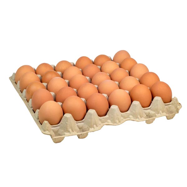 Jordan Egg Large 30x1x12 box