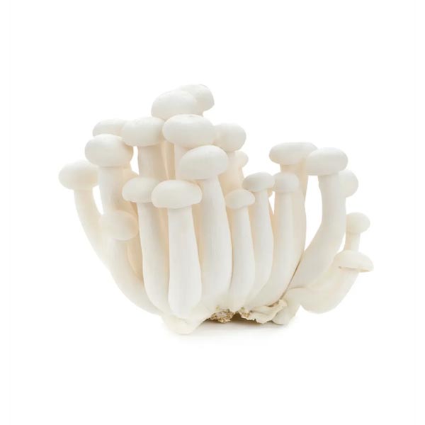 White Shimeji Mushrooms
